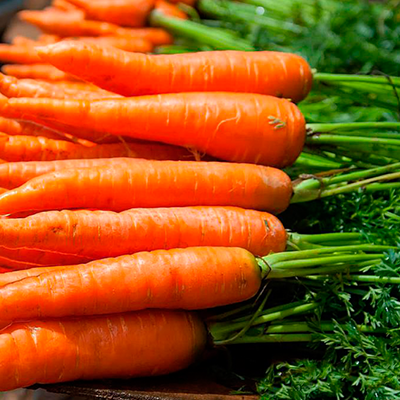 Оборудование для упаковки моркови