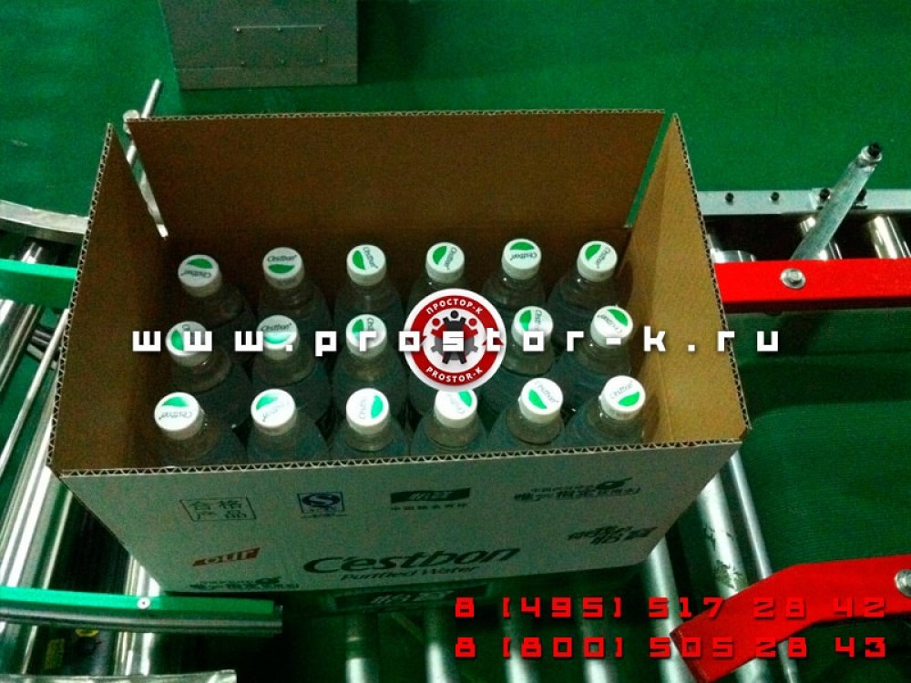 Robotic Case Packer — Упаковочное оборудование