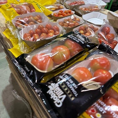 Оборудование для упаковки помидоров