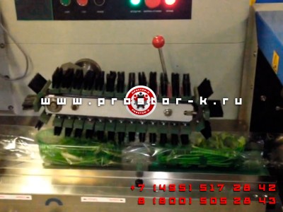 Машина для упаковки петрушки в Кемерово